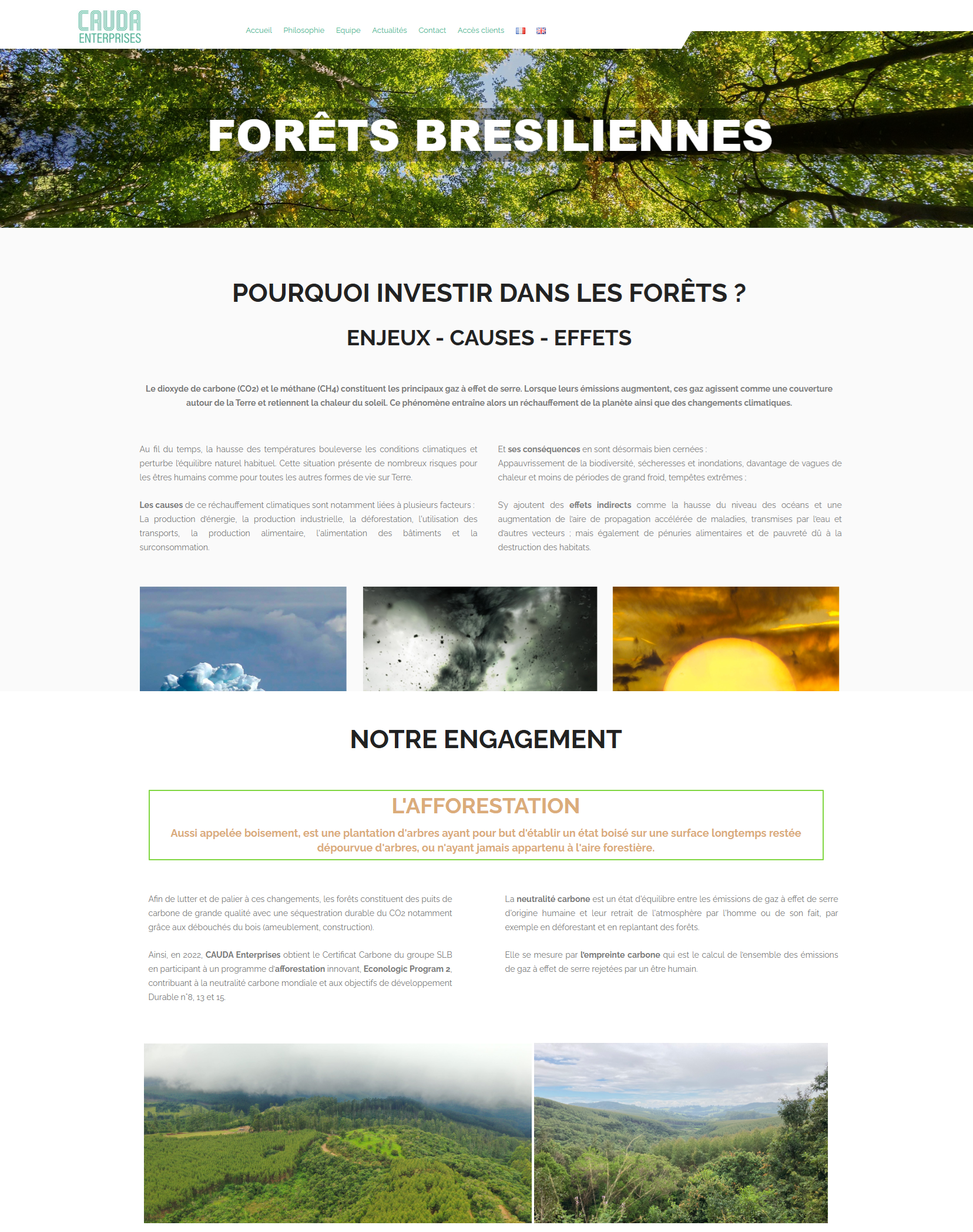 Page Cauda